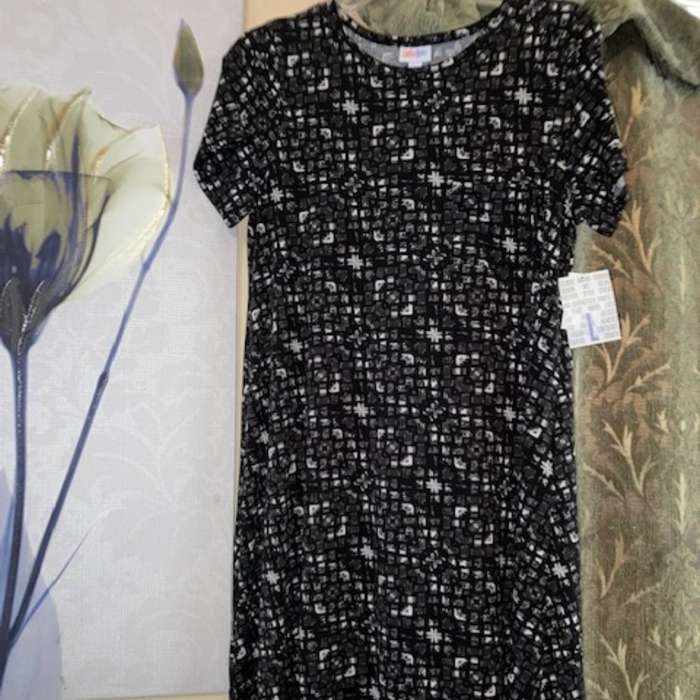 NWT LuLaRoe Carly Size Large